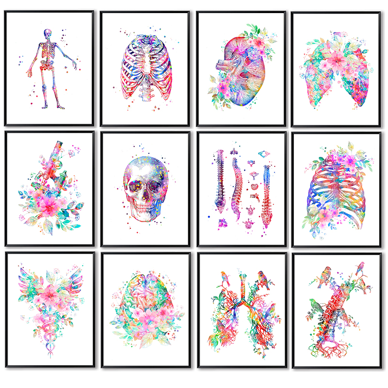 Medical Lab Pictures - Poster Anatomico Medico con Organi Floreali,