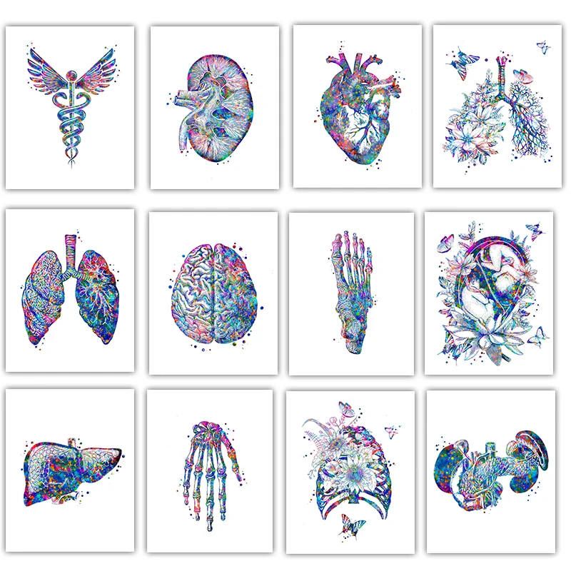 Medical Lab Pictures - Poster Anatomico Medico con Organi Floreali,