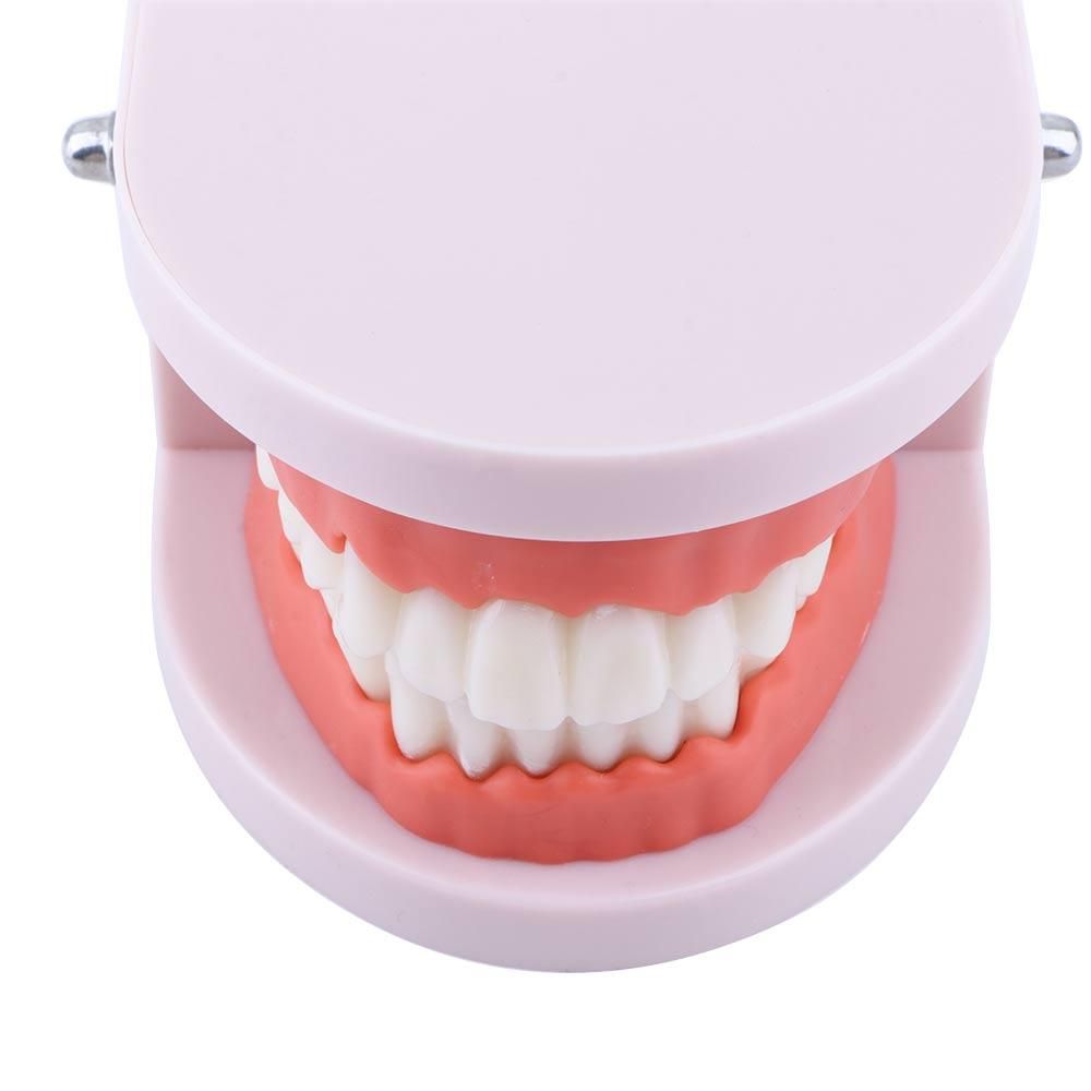 Medical Lab Study - Modello Dentale Standard Lab Pro White