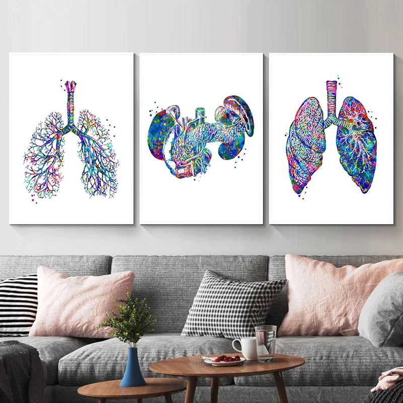 Anatomy Medical Poster Flower  - Medical Lab Pictures recensione e prezzo