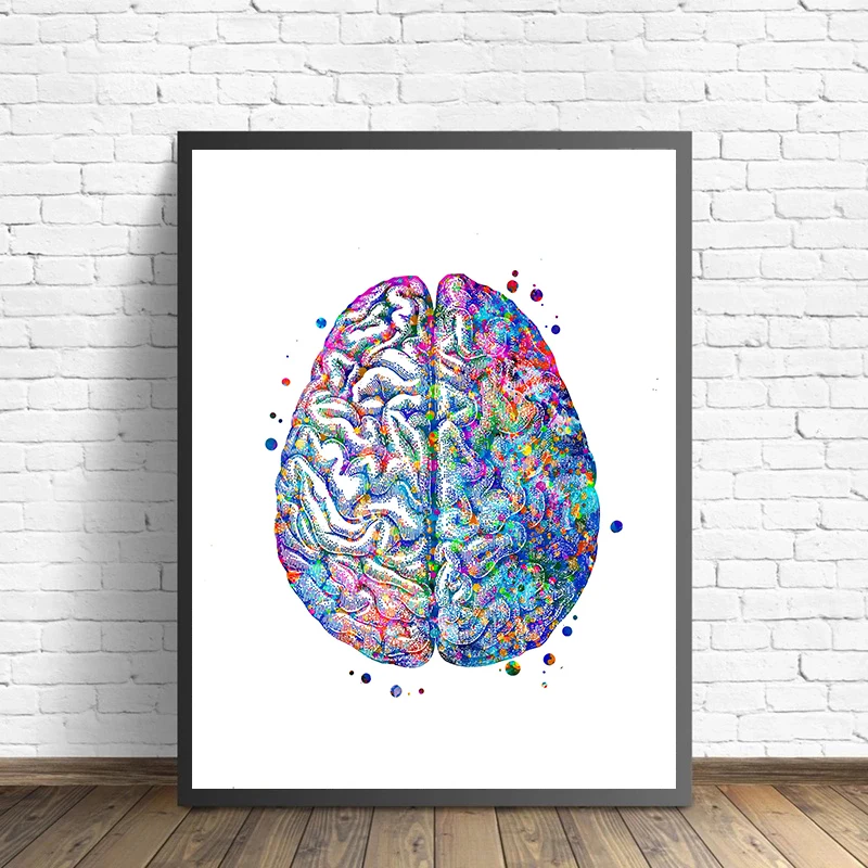 Anatomy Medical Poster Flower  - Medical Lab Pictures recensione e prezzo
