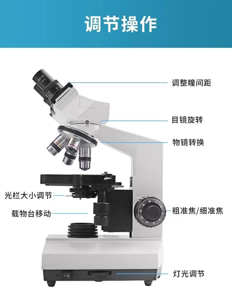 Microscopio Binoculare Ottico  - Medical Lab Study recensione e prezzo